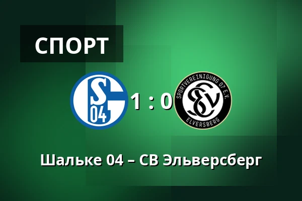 Шальке 04 – СВ Эльверсберг — Veltins Arena, Гельзенкирхен