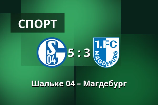 Шальке 04 – Магдебург — Veltins Arena, Гельзенкирхен
