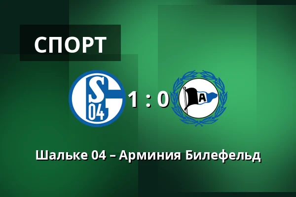 Шальке 04 – Арминия Билефельд — Veltins Arena, Гельзенкирхен