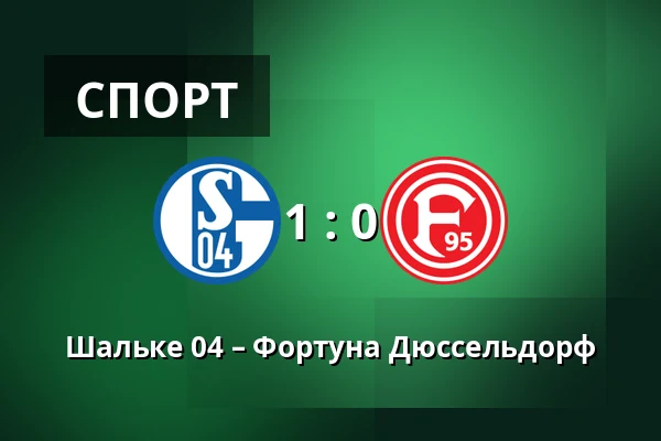 Шальке 04 – Фортуна Дюссельдорф — Veltins Arena, Гельзенкирхен