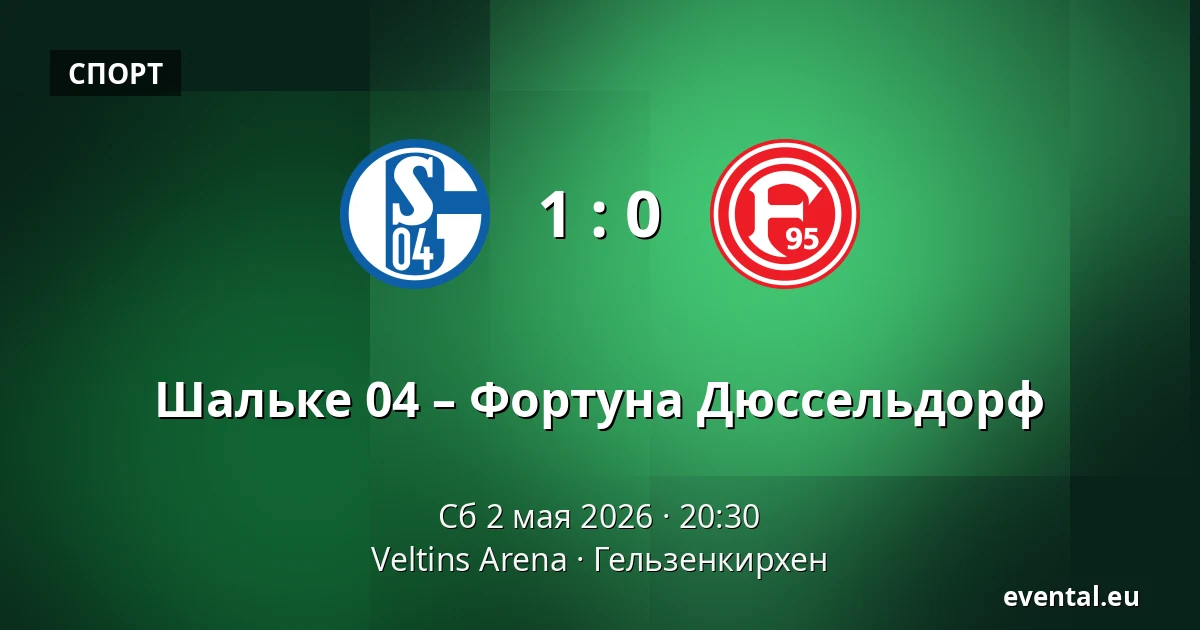 Шальке 04 – Фортуна Дюссельдорф — Veltins Arena, Гельзенкирхен