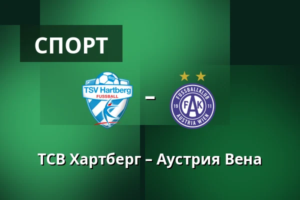 ТСВ Хартберг – Аустрия Вена — Stadion Hartberg, Hartberg