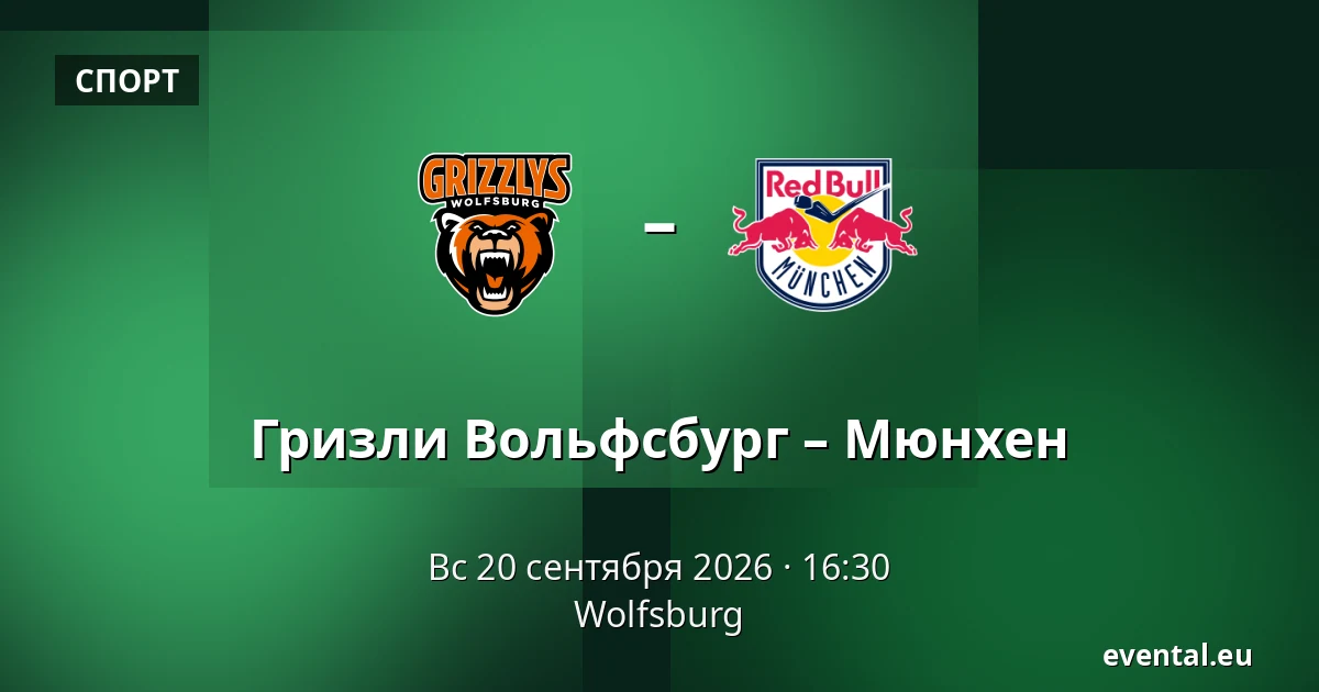 Гризли Вольфсбург - Мюнхен — Wolfsburg
