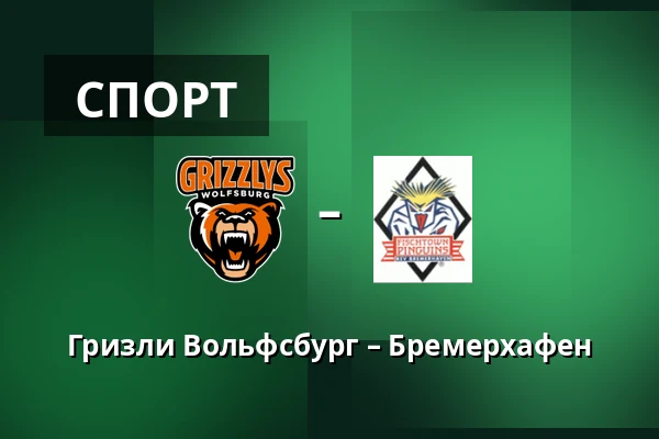 Гриззли Вольфсбург – Бремерхафен — Wolfsburg