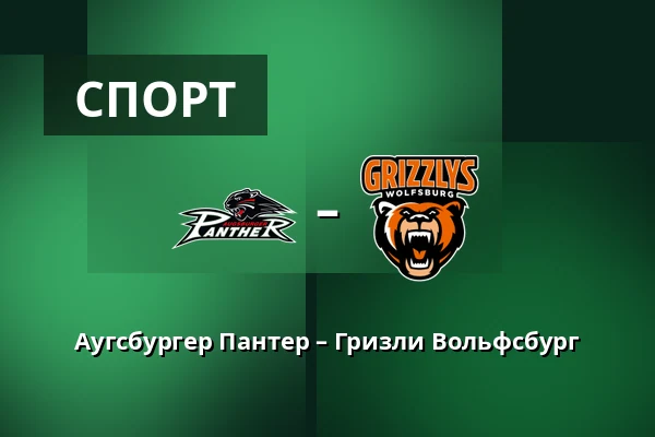Аугсбургер Пантер – Гризли Вольфсбург — Аугсбург