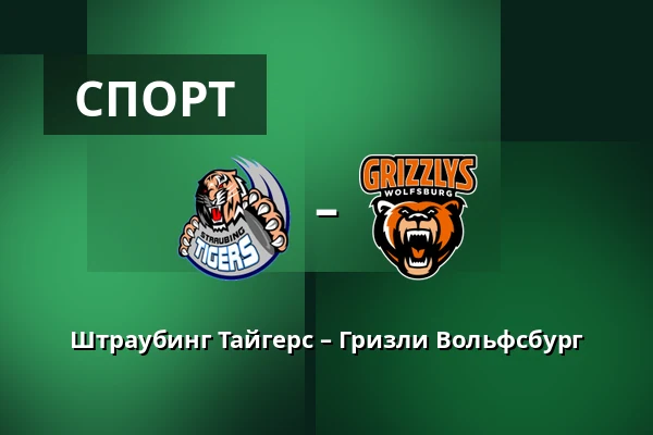 Штраубинг Тайгерс – Гризли Вольфсбург — Straubing