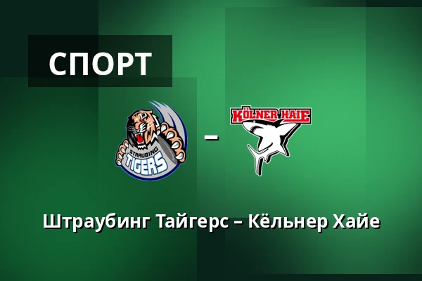 Штраубинг Тайгерс – Кёльнер Хайе — Straubing