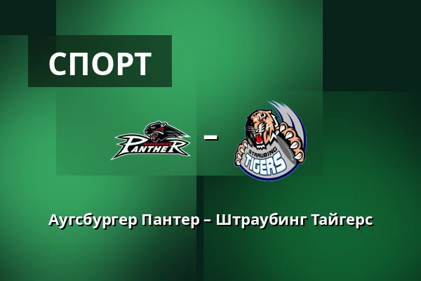 Аугсбургер Пантер – Штраубинг Тайгерс — Аугсбург