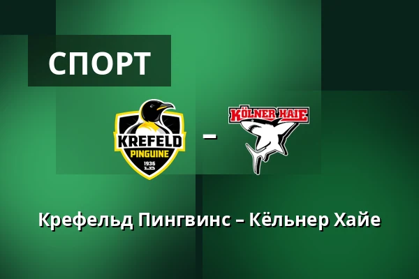 Крефельд Пингвинс – Кёльнер Хайе — König Palast, Крефельд