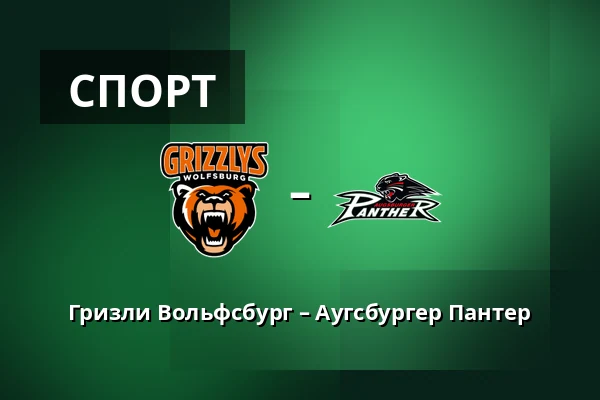 Гризли Вольфсбург – Аугсбургер Пантер — Wolfsburg