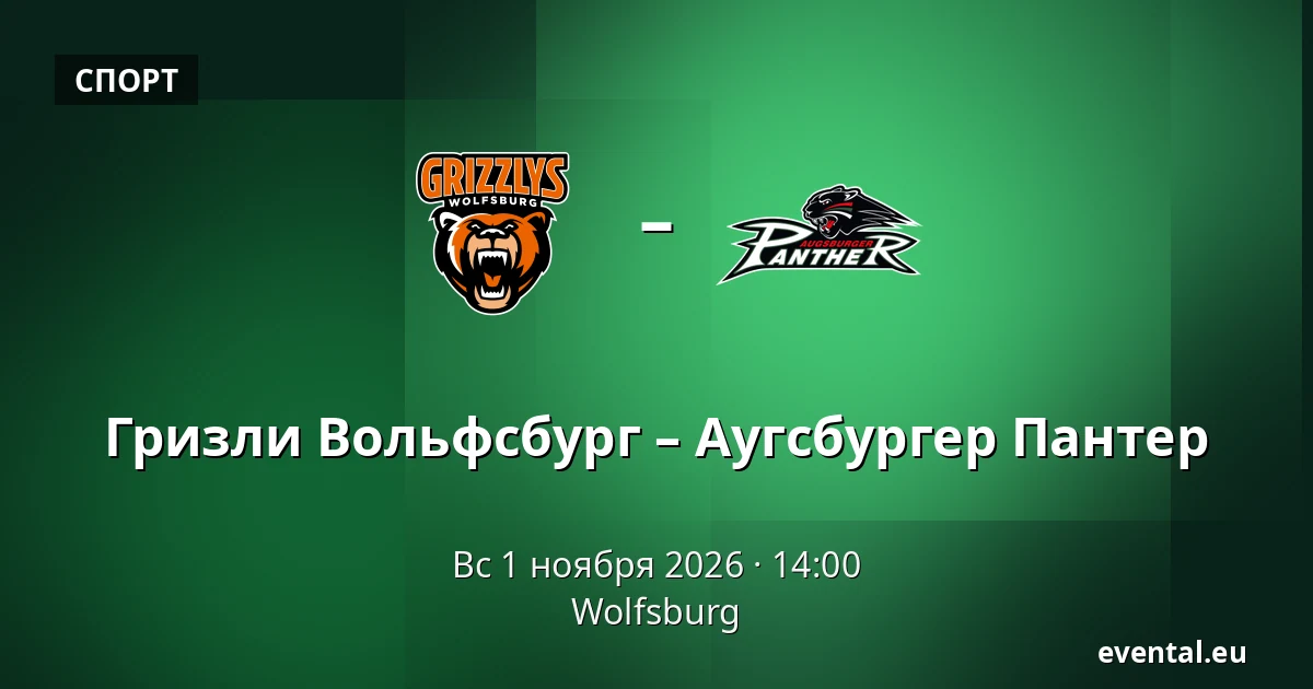 Гризли Вольфсбург – Аугсбургер Пантер — Wolfsburg