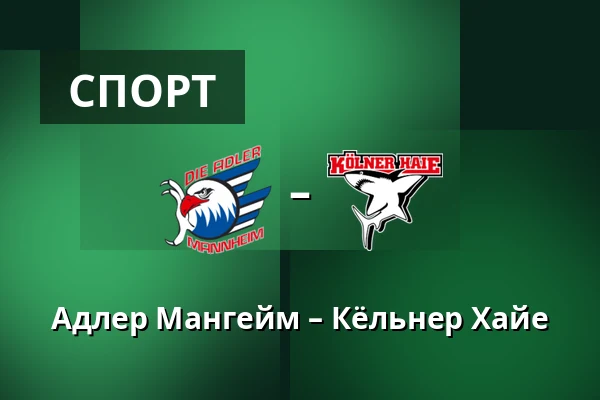 Адлер Мангейм – Кёльнер Хайе — Мангейм
