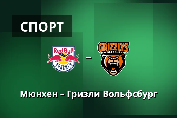 Мюнхен – Гризли Вольфсбург — Мюнхен