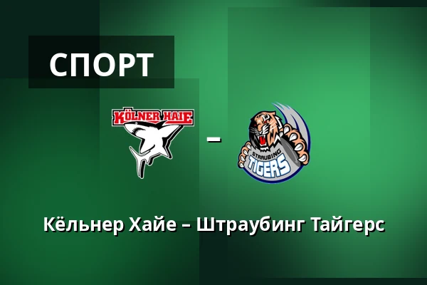 Кёльнер Хайе – Штраубинг Тайгерс — Кёльн