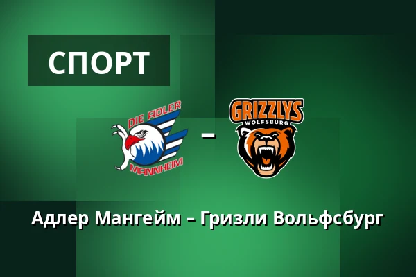 Адлер Мангейм – Гризли Вольфсбург — Мангейм