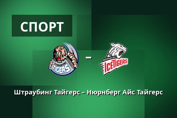 Штраубинг Тайгерс – Нюрнберг Айс Тайгерс — Straubing