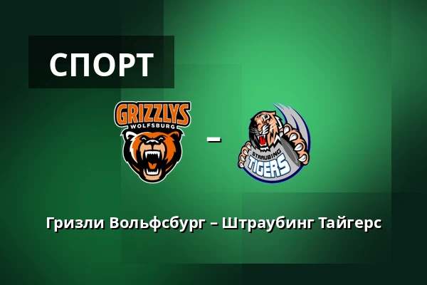 Гризли Вольфсбург – Штраубинг Тайгерс — Wolfsburg