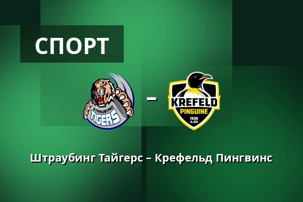 Straubing Tigers – Krefeld Pinguine — Straubing
