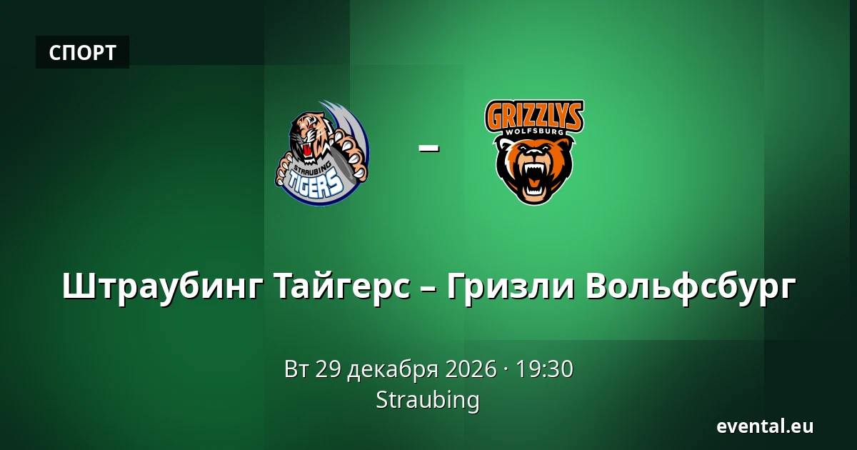 Штраубинг Тайгерс – Гризли Вольфсбург — Straubing
