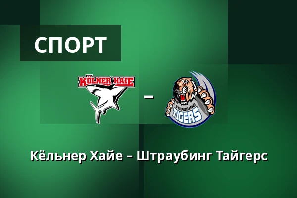 Кёльнер Хайе – Штраубинг Тайгерс — Кёльн