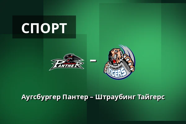 Аугсбургер Пантер – Штраубинг Тайгерс — Аугсбург