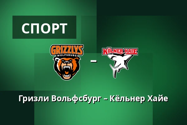 Гризли Вольфсбург – Кёльнер Хайе — Wolfsburg