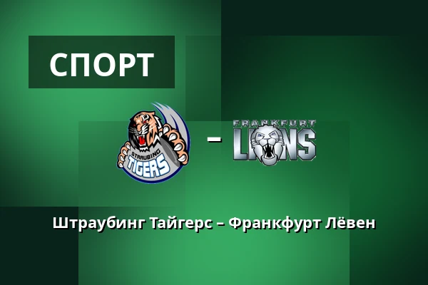 Штраубинг Тайгерс – Франкфурт Лёвен — Straubing