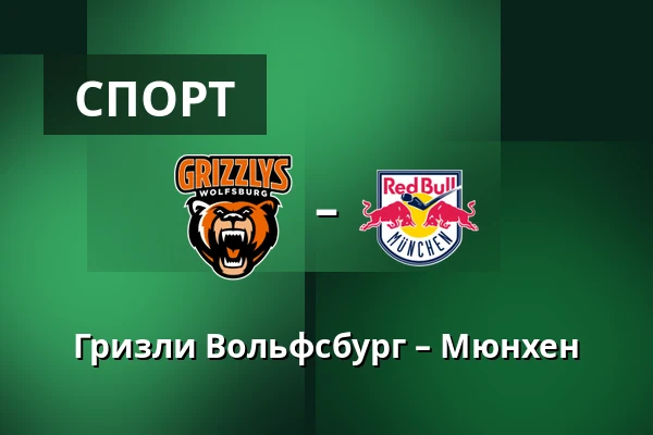 Гризли Вольфсбург - Мюнхен — Wolfsburg