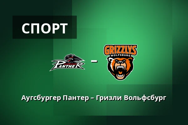 Аугсбургер Пантер – Гризли Вольфсбург — Аугсбург