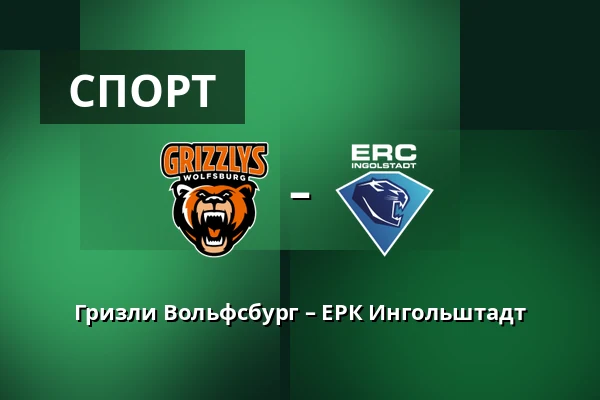 Гризли Вольфсбург – ЕРК Ингольштадт — Wolfsburg