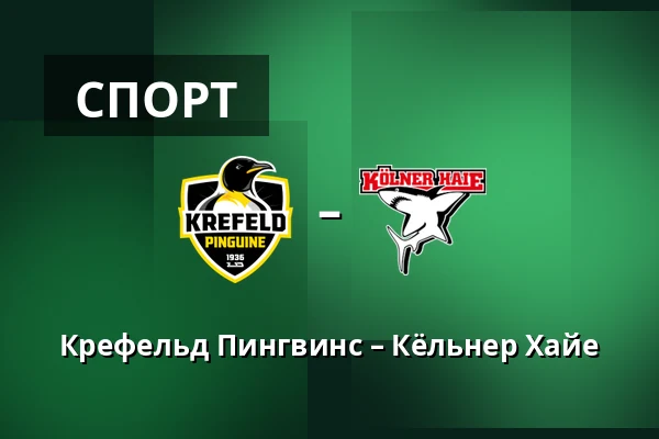 Крефельд Пингвинс – Кёльнер Хайе — König Palast, Крефельд