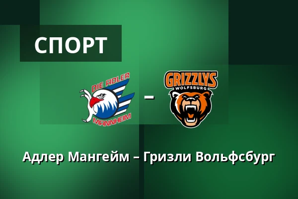 Адлер Мангейм – Гризли Вольфсбург — Мангейм