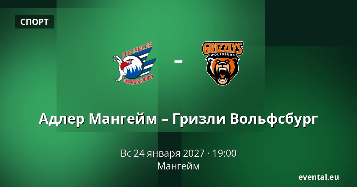 Адлер Мангейм – Гризли Вольфсбург — Мангейм
