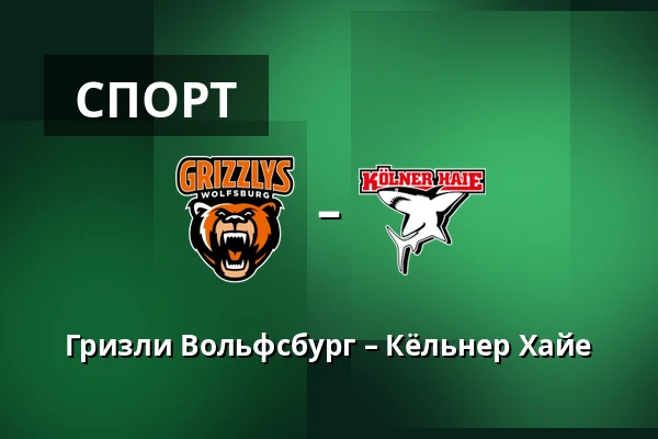 Гризли Вольфсбург – Кёльнер Хайе — Wolfsburg