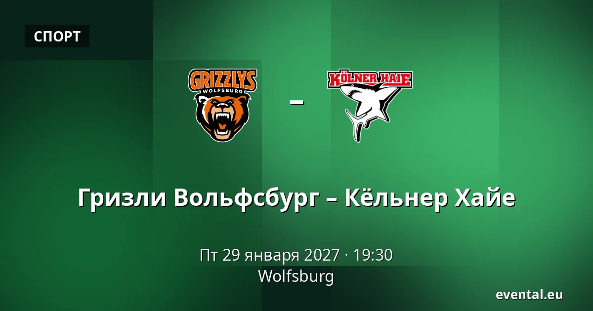 Гризли Вольфсбург – Кёльнер Хайе — Wolfsburg