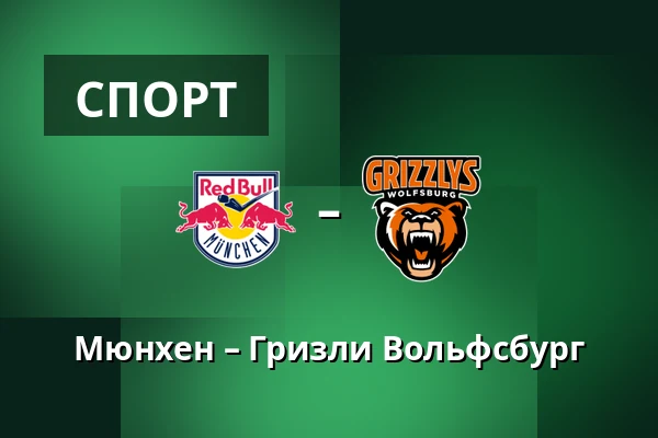 Мюнхен – Гризли Вольфсбург — Мюнхен