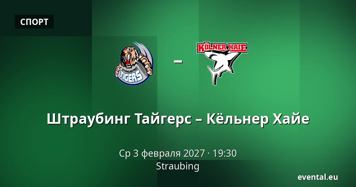 Штраубинг Тайгерс – Кёльнер Хайе — Straubing