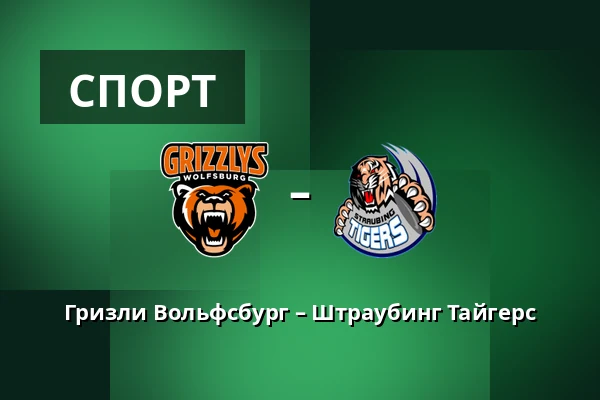 Гризли Вольфсбург – Штраубинг Тайгерс — Wolfsburg