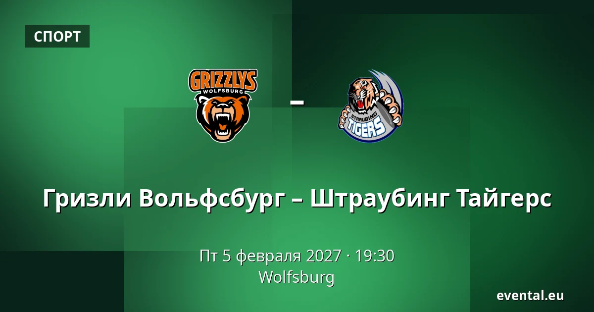 Гризли Вольфсбург – Штраубинг Тайгерс — Wolfsburg