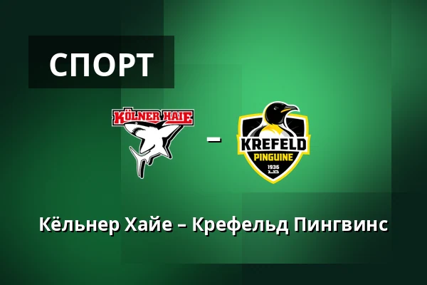 Кёльнер Хайе – Крефельд Пингвинс — Кёльн