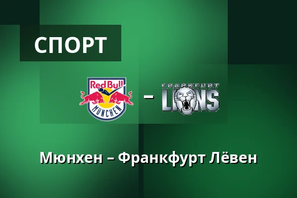 Мюнхен - Франкфурт Львы — Мюнхен