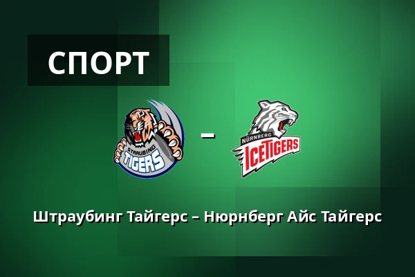 Штраубинг Тайгерс – Нюрнберг Айс Тайгерс — Straubing