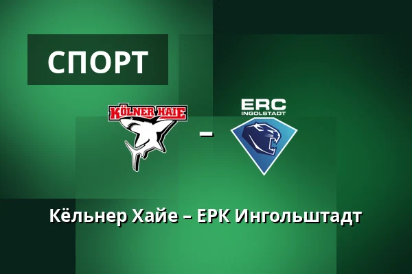 Кёльнер Хайе – ЕРК Ингольштадт — Кёльн
