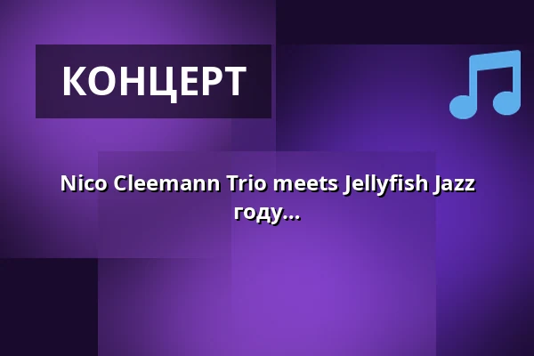 Nico Cleemann Trio meets Jellyfish Jazz Orchestra - Big Band, основанный в 2008 году и состоящий из примерно 20 музыкантов из Мекленбурга-Передней Померании — Soziokulturelles Zentrum Speicher, Schwerin