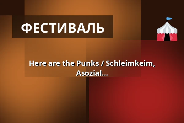 Here are the Punks / Schleimkeim, Toxoplasma, Pöbel & Gesocks, Oi!sturm Asozial — Central Club, Erfurt