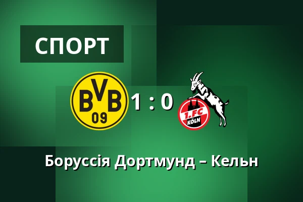 Боруссія Дортмунд – Кельн — Signal Iduna Park, Дортмунд