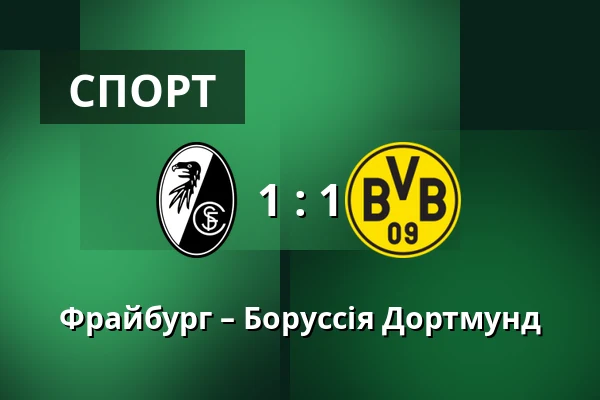 Фрайбург – Боруссія Дортмунд — Europa-Park-Stadion, Фрайбург