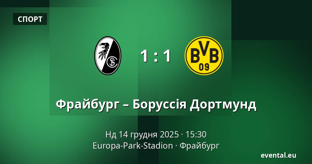 Фрайбург – Боруссія Дортмунд — Europa-Park-Stadion, Фрайбург