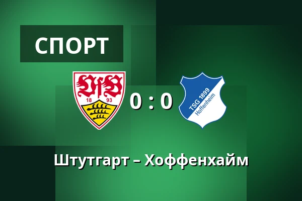 Штутгарт – Хоффенхайм — MHPArena, Штутгарт