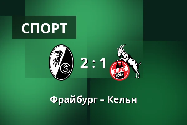 Фрайбург – Кельн — Europa-Park-Stadion, Фрайбург